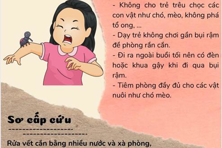 Phòng chống động vật cắn
